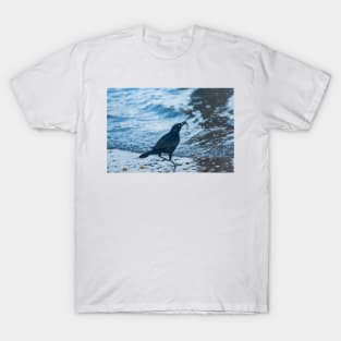 Grackle with a Fish T-Shirt